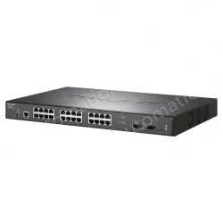 All-100 Gigabit Layer 3 network management switches