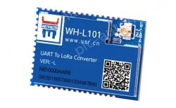 LoRa module